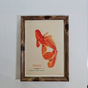 2025/07/1000032549-scaled.jpg Affiche A4 – Poisson rouge