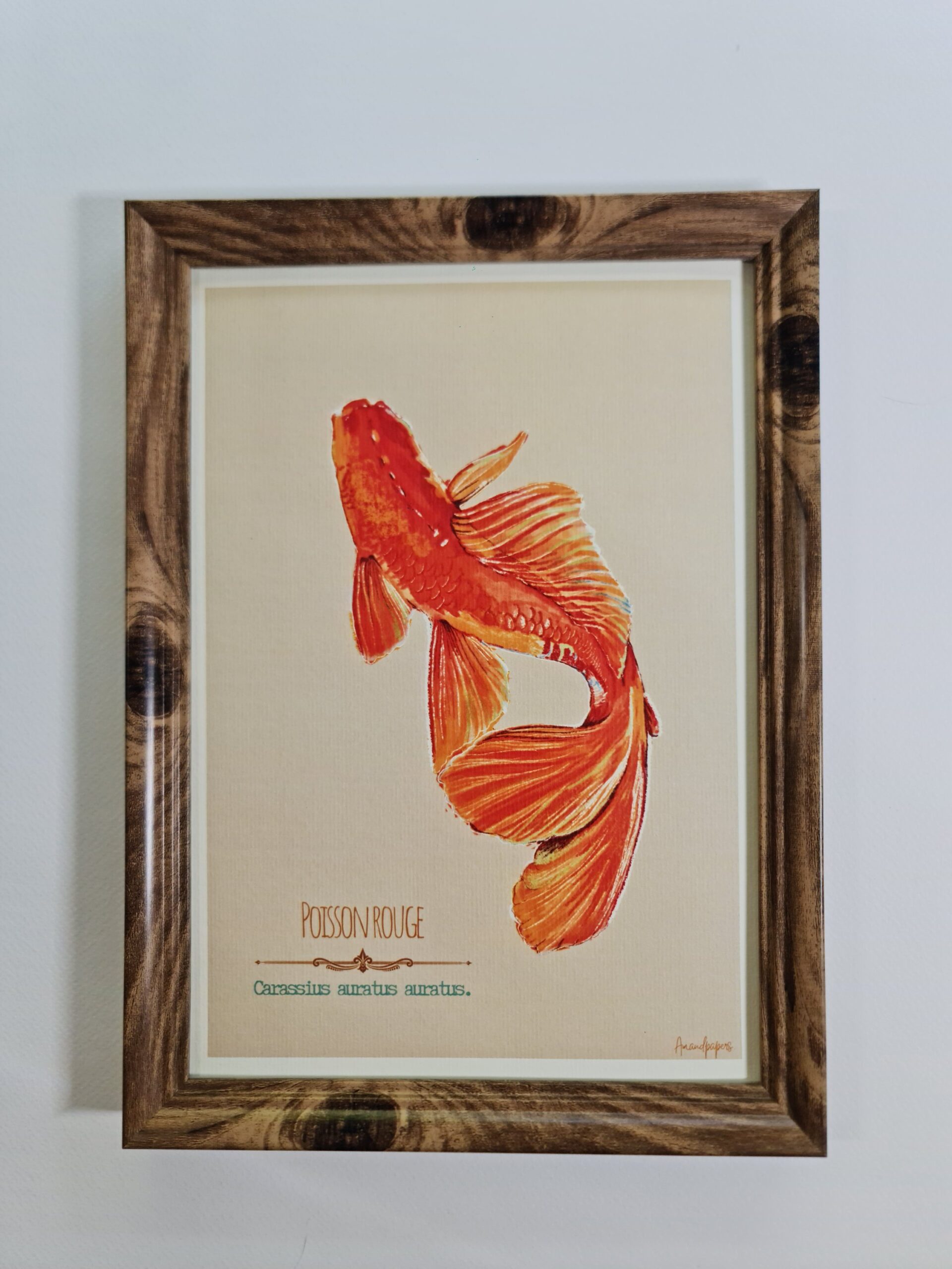 Affiche A4 – Poisson rouge – Image 2
