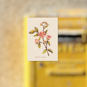 Carte Postale Branche de Camelia - Imprimée en France - Format A6