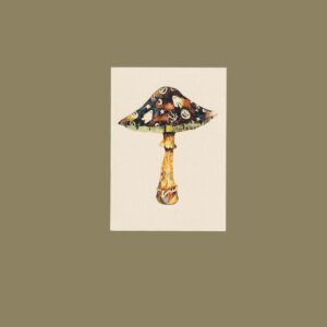 Carte Postale Circus mushroom- Imprimée en France - Format A6