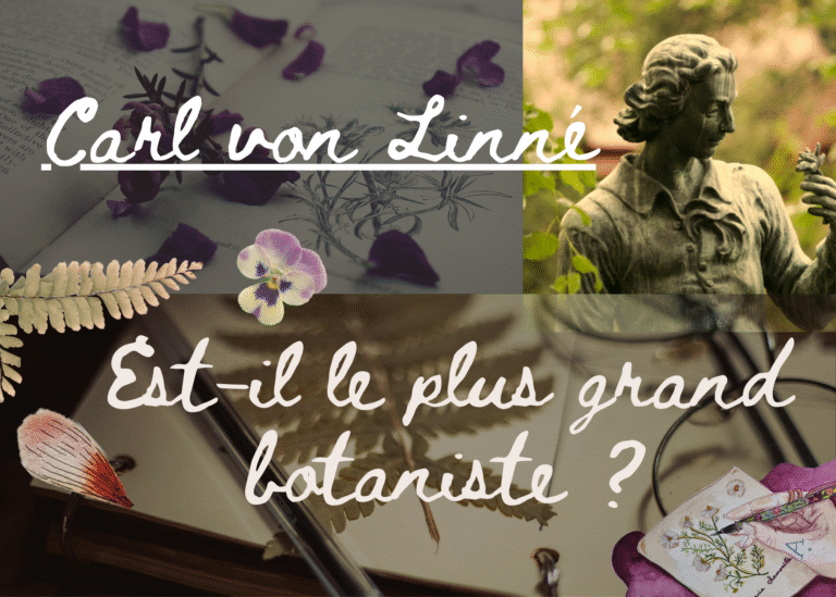Qui est le plus grand botaniste ?